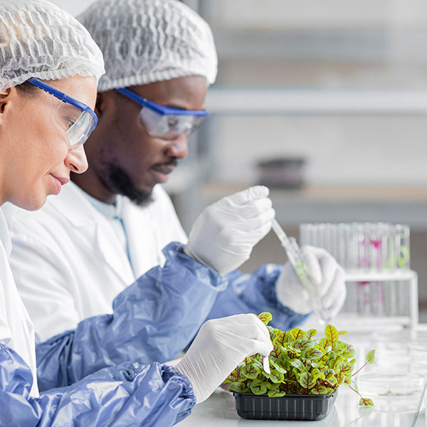Active Pharmaceutical Ingredients Active Pharmaceutical Ingredients