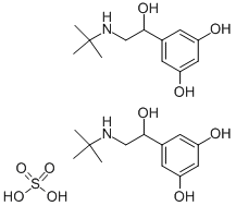 Terbutaline Sulphate API: Micronized & injectable Pharmaceutical Grades